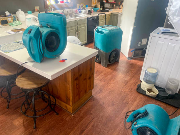 Best Mold removal after water damage  in Ester, AK