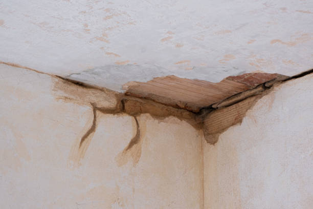 Best Flood damage cleanup  in Ester, AK