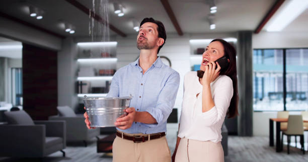 Best Water damage restoration experts  in Ester, AK